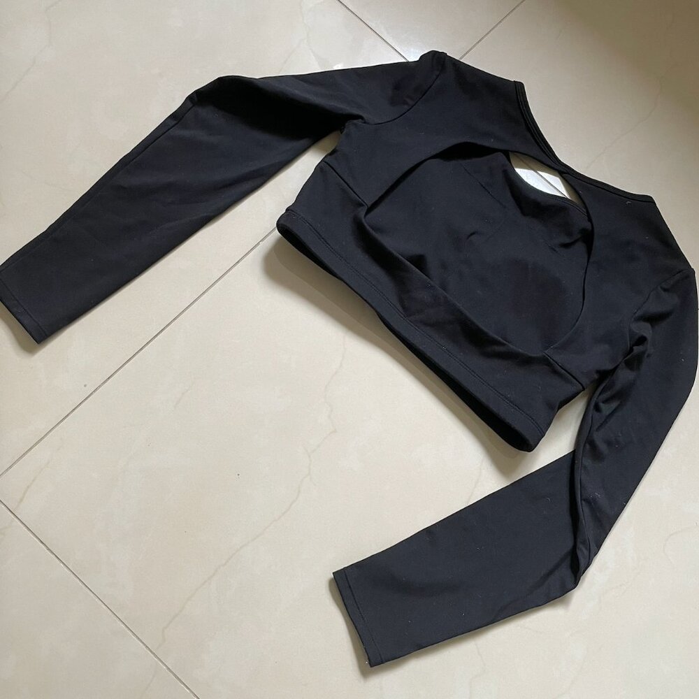 Workout Long Sleeve Crop Top, L